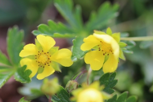 IMG_9649-scaled