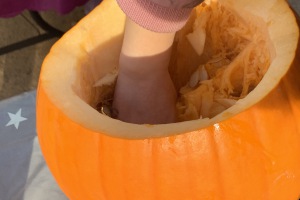 IMG_5885
